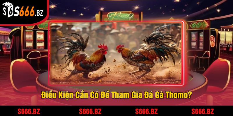 Điều Kiện Cần Có Để Tham Gia Đá Gà Thomo?